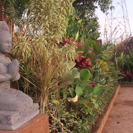 Eliska Sari Bungalows Sumberkima Pemuteran Esterno foto