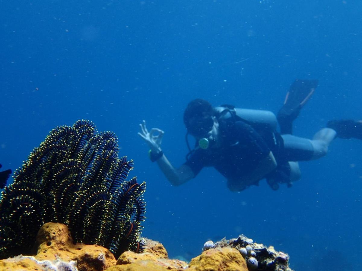 Eliska Sari Bungalows Sumberkima Pemuteran Esterno foto