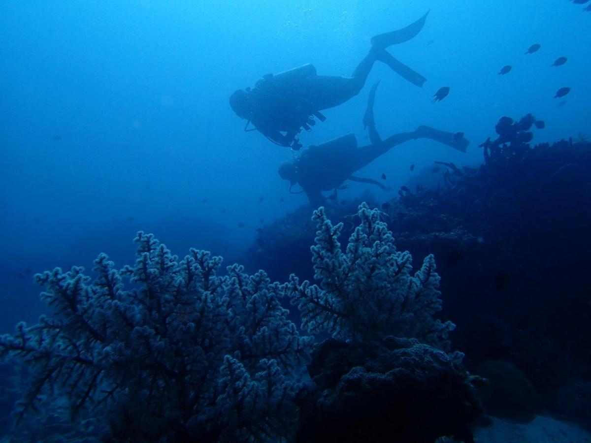 Eliska Sari Bungalows Sumberkima Pemuteran Esterno foto