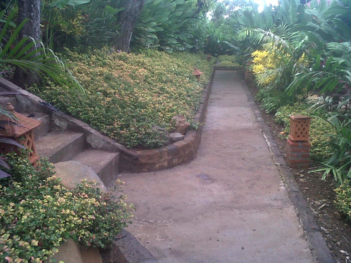 Eliska Sari Bungalows Sumberkima Pemuteran Esterno foto