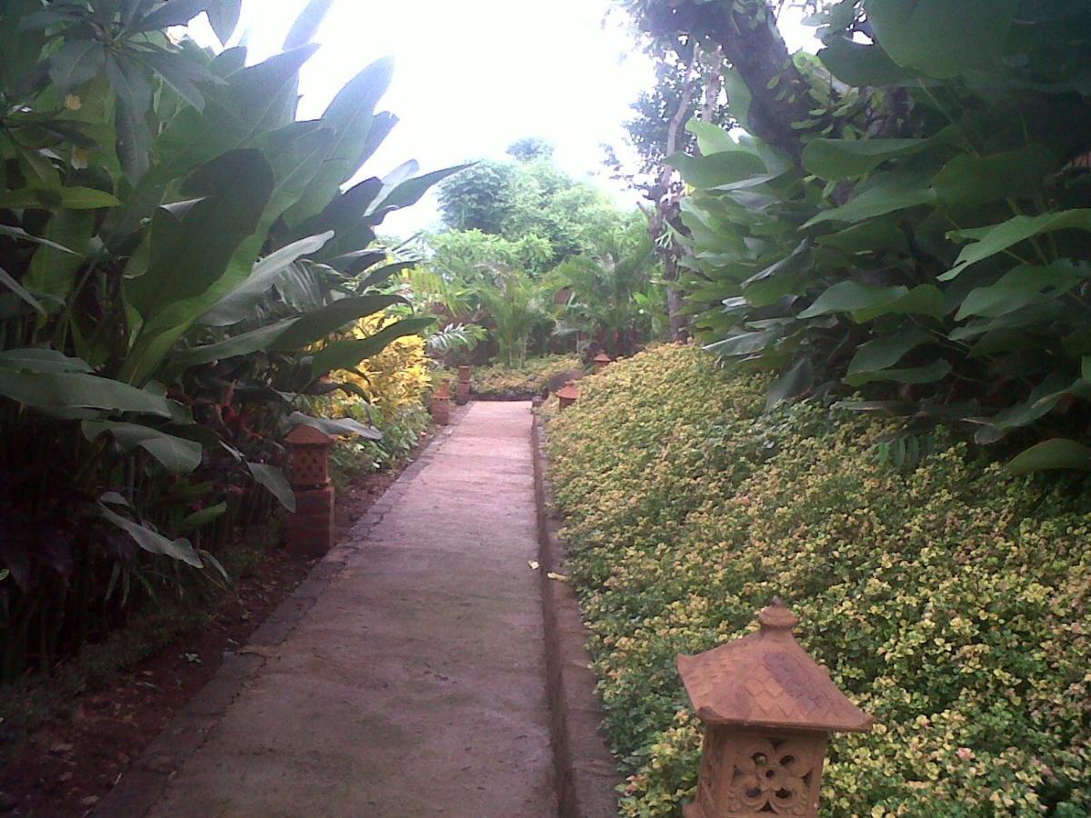 Eliska Sari Bungalows Sumberkima Pemuteran Esterno foto