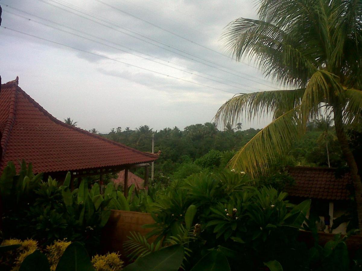 Eliska Sari Bungalows Sumberkima Pemuteran Esterno foto