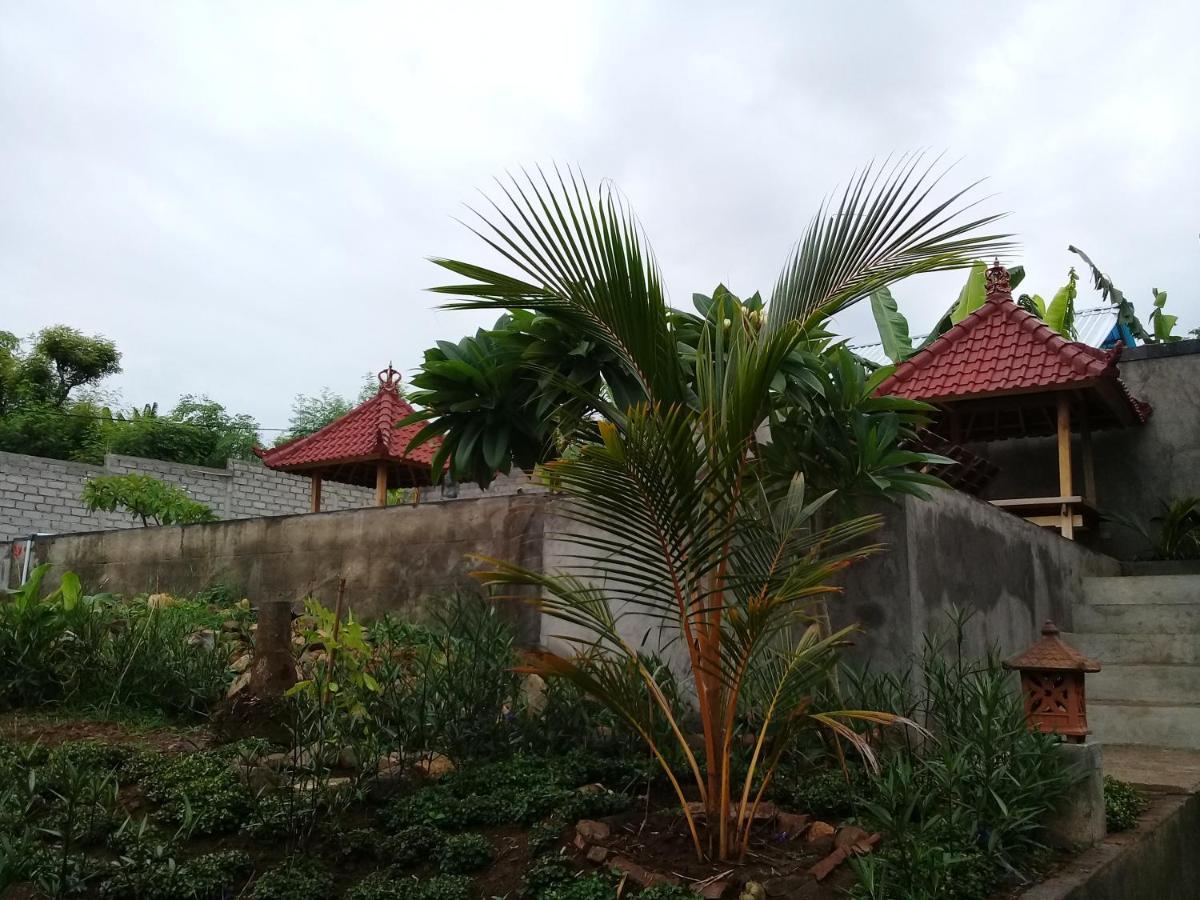 Eliska Sari Bungalows Sumberkima Pemuteran Esterno foto