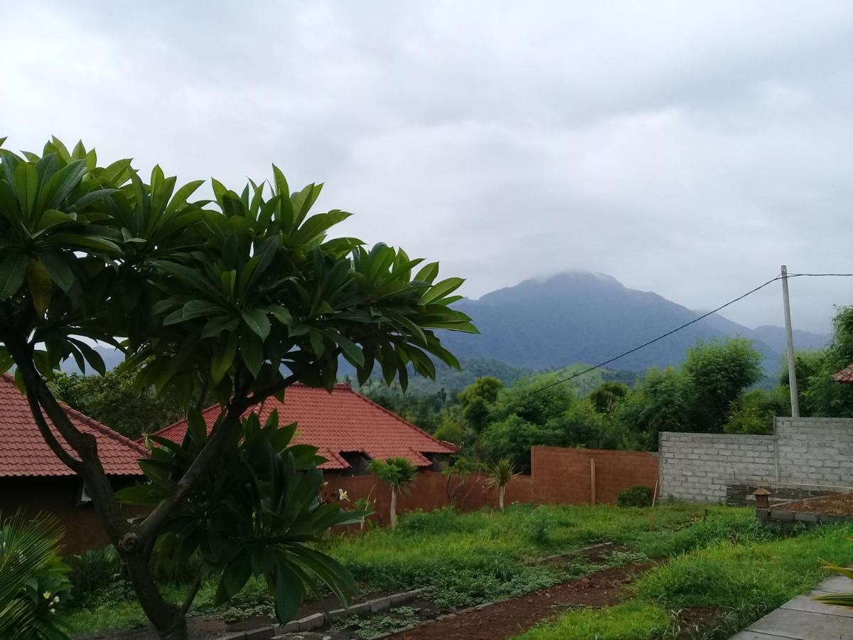 Eliska Sari Bungalows Sumberkima Pemuteran Esterno foto