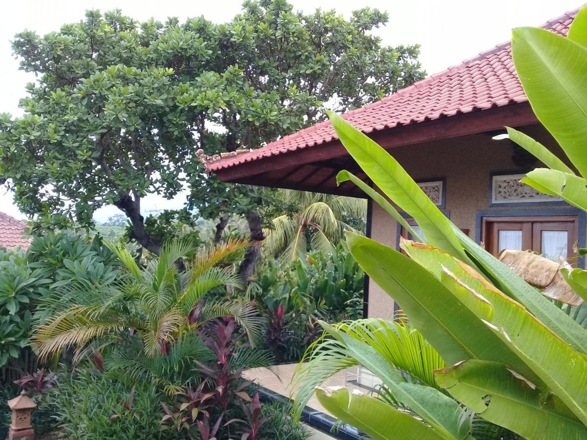 Eliska Sari Bungalows Sumberkima Pemuteran Esterno foto