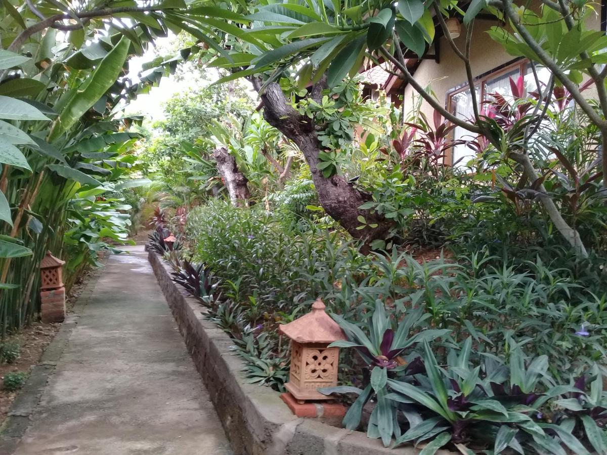 Eliska Sari Bungalows Sumberkima Pemuteran Esterno foto