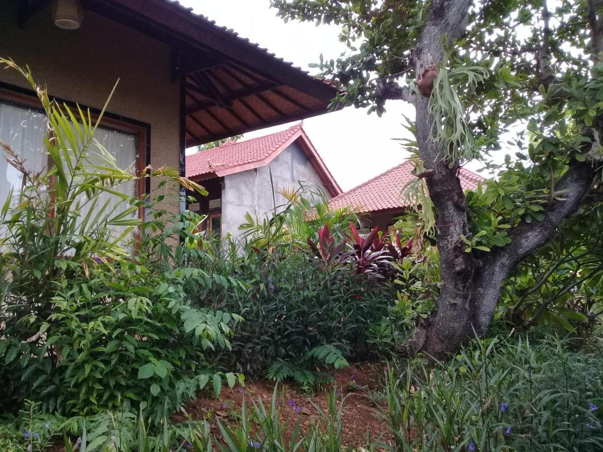 Eliska Sari Bungalows Sumberkima Pemuteran Esterno foto
