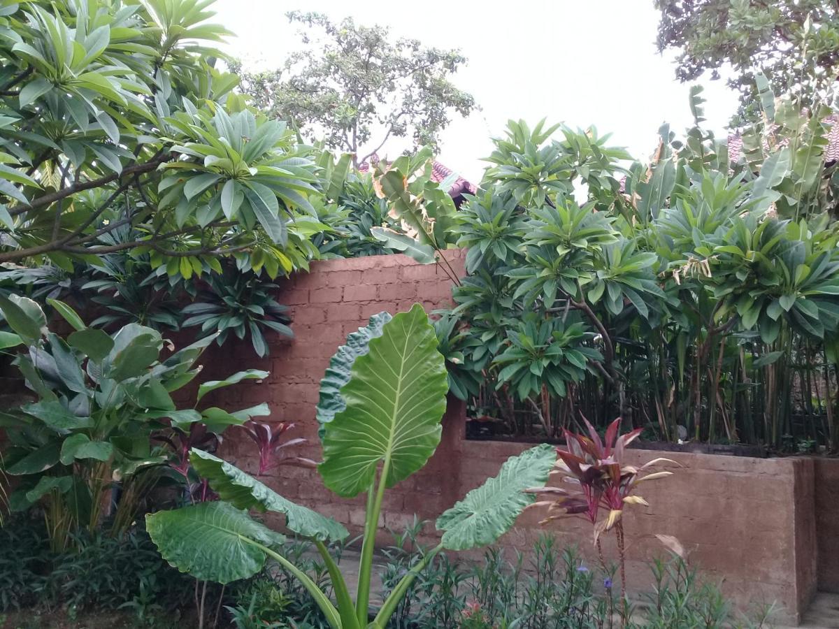 Eliska Sari Bungalows Sumberkima Pemuteran Esterno foto