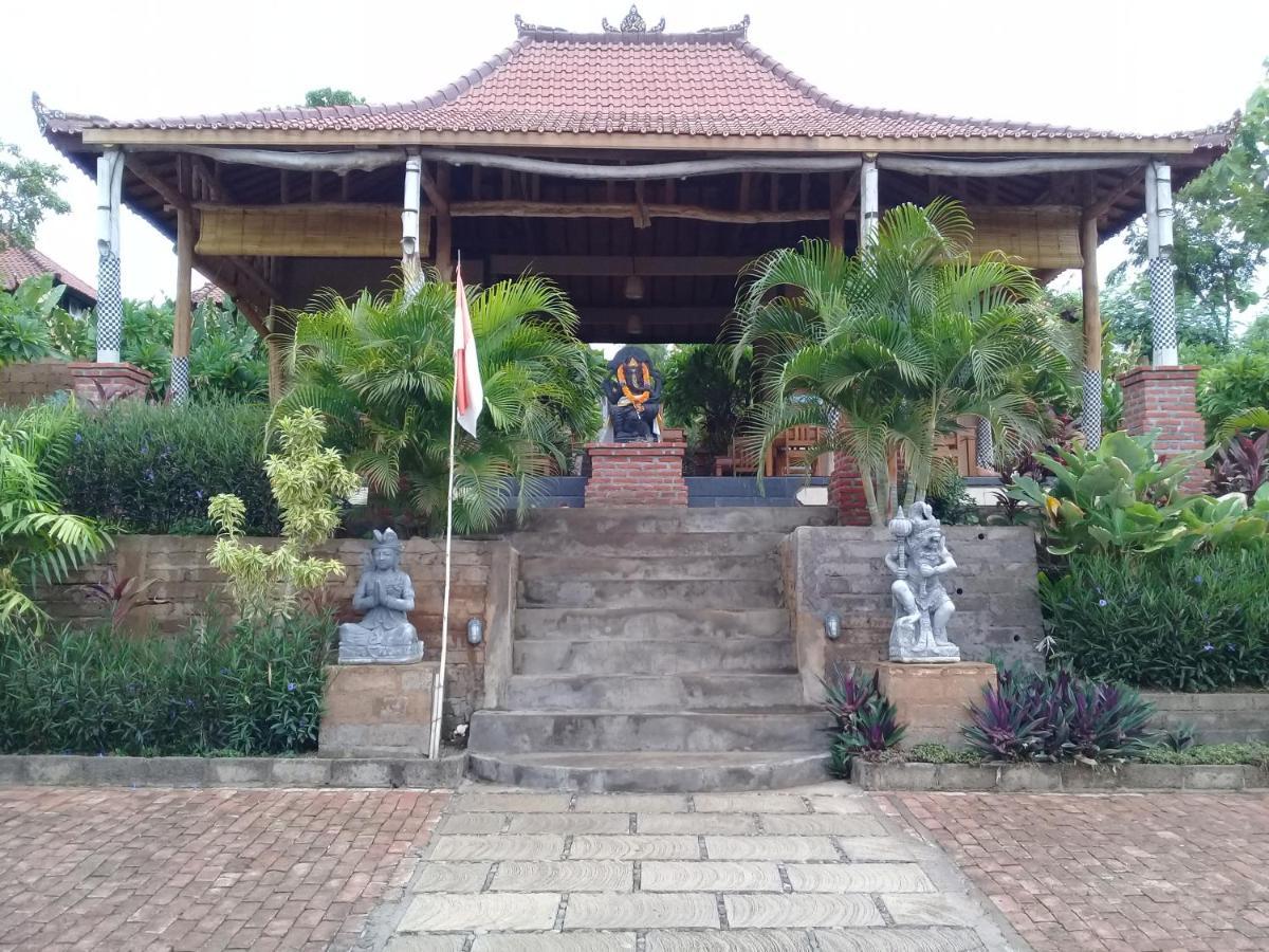 Eliska Sari Bungalows Sumberkima Pemuteran Esterno foto